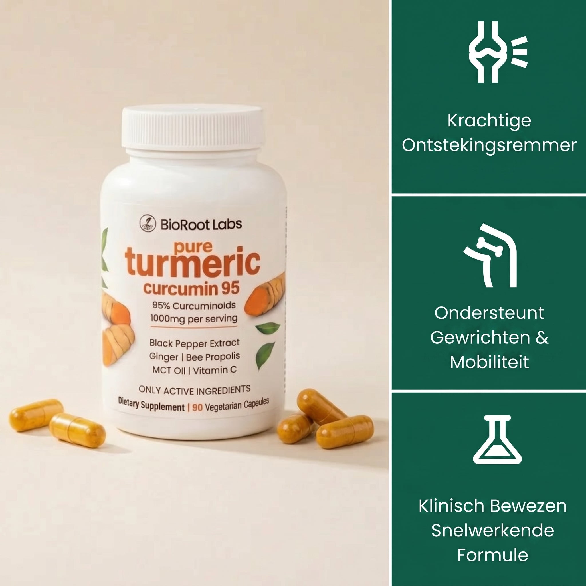 Kurkuma Curcumine Capsules (1.000mg)