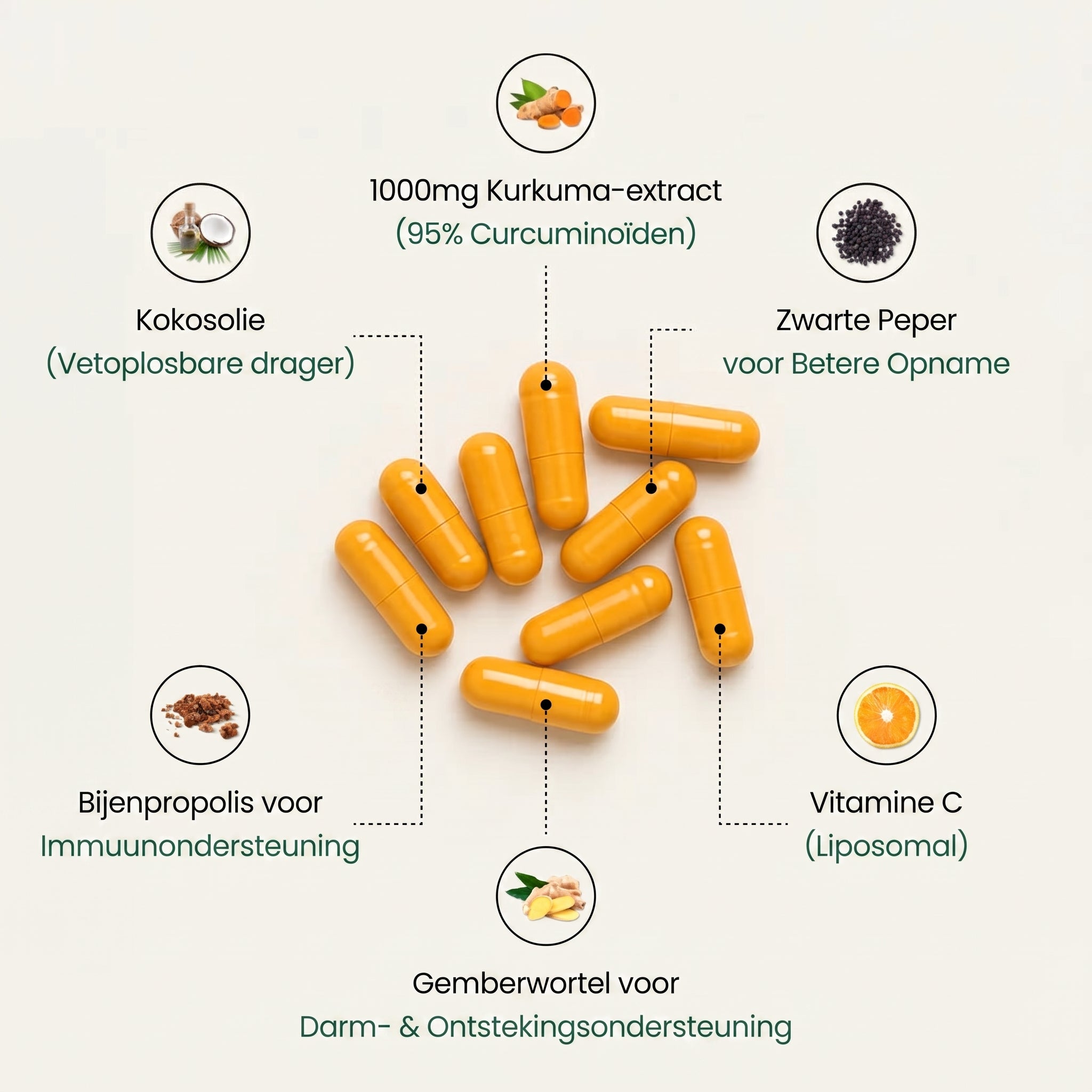 Kurkuma Curcumine Capsules (1.000mg)