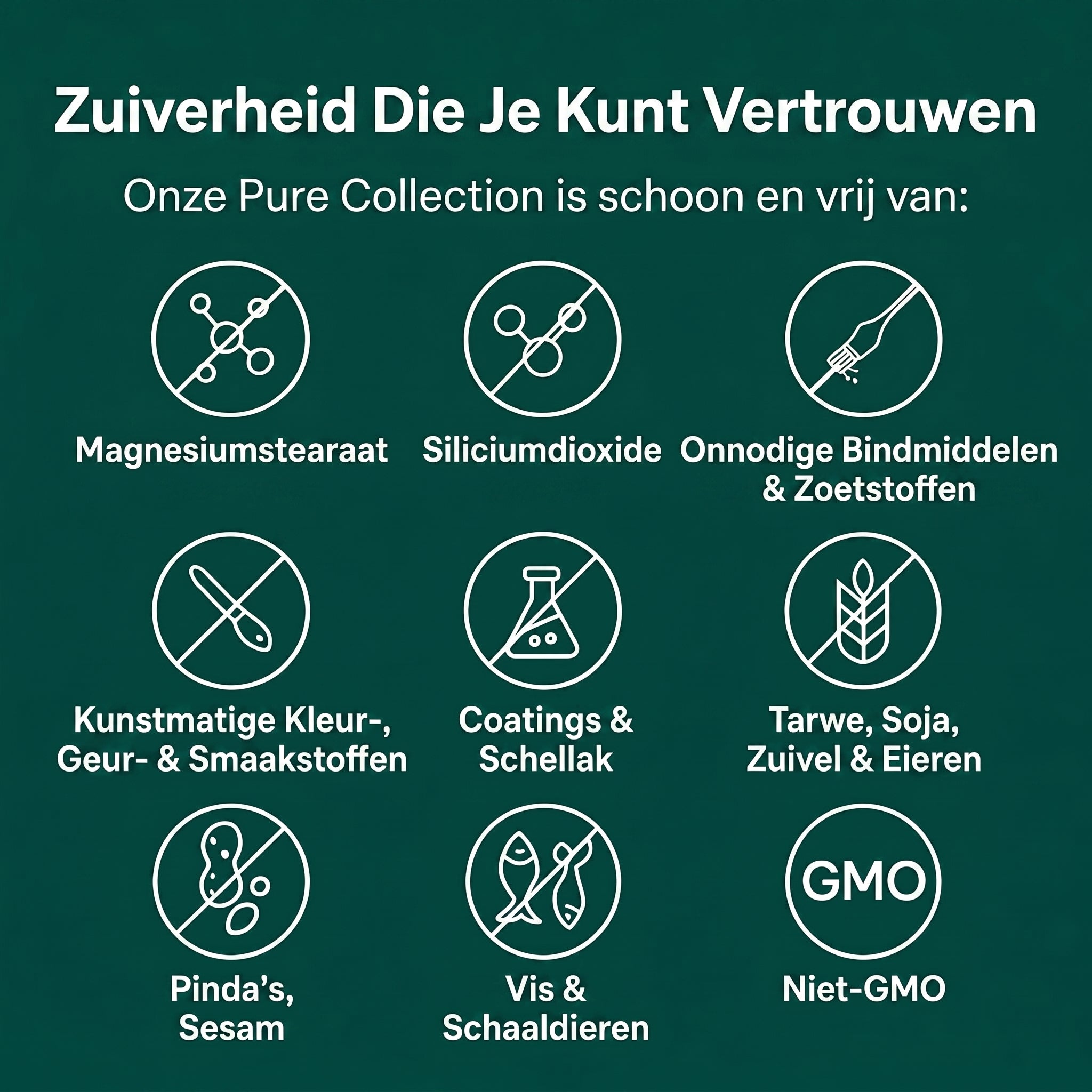 Kurkuma Curcumine Capsules (1.000mg)